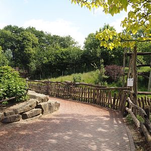 Walkway next to the Indian sloth bear and European golden jackal exhibit, 2025-05-22