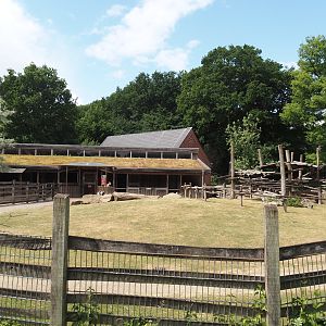 Petting Zoo - Goat paddock, 2025-05-22