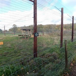 Lion enclosure 021125