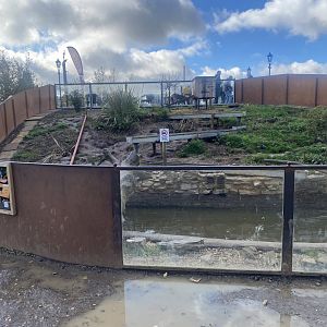 Asian small-clawed otter enclosure 021125