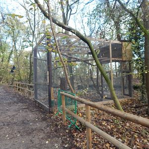 Chaco owl aviary 021125