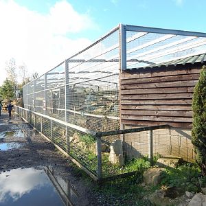 Puma enclosure 021125