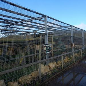 Puma enclosure 021125