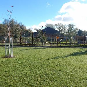 Indian sloth bear enclosure 021125