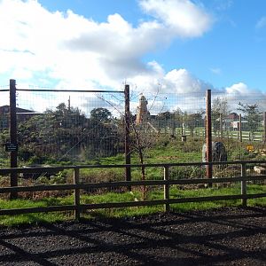 Indian sloth bear enclosure 021125