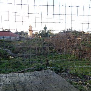 Indian sloth bear enclosure 021125