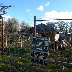 Indian sloth bear enclosure 021125