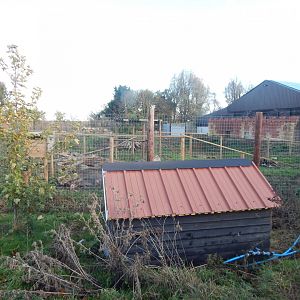 Indian sloth bear enclosure 021125