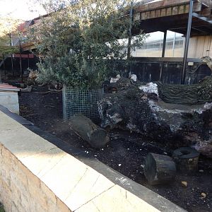 Enclosure for Meerkat/Crested porcupine 021125