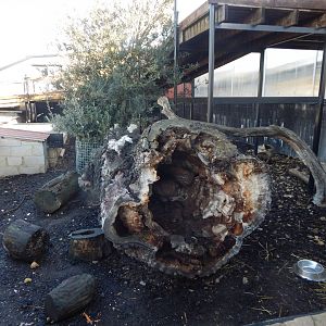 Enclosure for Meerkat/Crested porcupine 021125