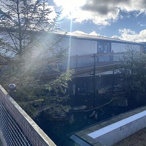 Crocodile House 021125