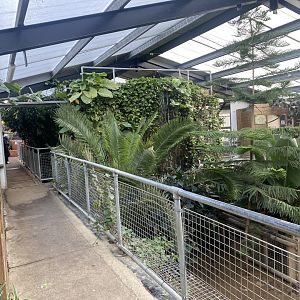 Crocodile House 021125