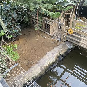 Crocodile House - Nile crocodile enclosure 021125