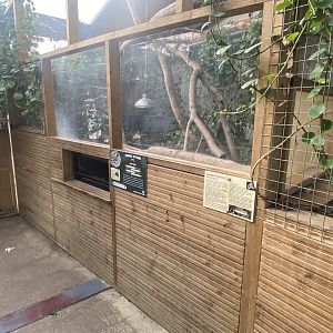 Crocodile House - Carpet python exhibit 021125