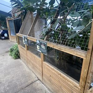 Crocodile House - Mixed tortoise exhibit 021125