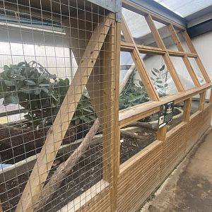 Crocodile House - Burmese python exhibit 021125