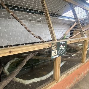 Crocodile House - Nile monitor exhibit 021125