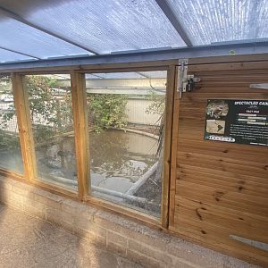 Crocodile House - Spectacled caiman exhibit 021125