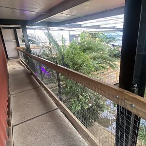 Crocodile House 021125