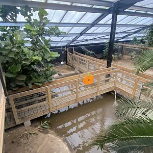 Crocodile House - American alligator exhibit 021125