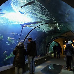 "Orford Reef" (Passages of the Deep)