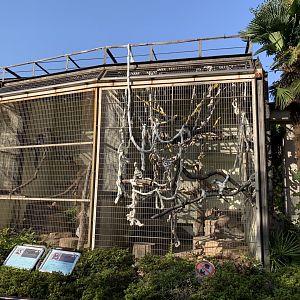 Primate Enclosures