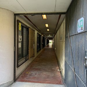 Primate Night Quarters Viewing