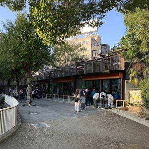 Carnivore Enclosures