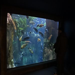 "Orford Reef" (side view)