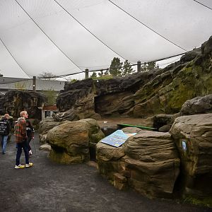 Seabird Aviary (right side)