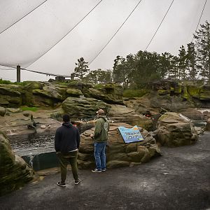 Seabird Aviary (left side)