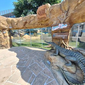 Croco land enclosure