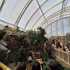 Red Panda Enclosure