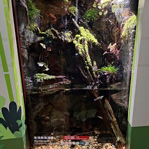 Mountain Crab Enclosure