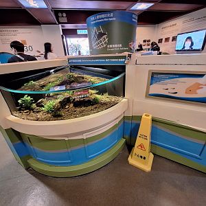 Dive Into Local Diversity