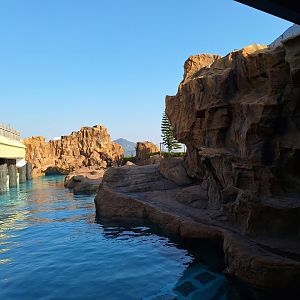 Pacific Pier viewpoint
