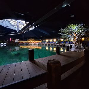 Shark Mystique Top level overview