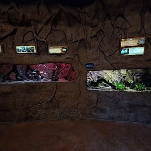 Rainforest Expedition Trail Exhibits