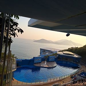 View from Dolphin Stadium