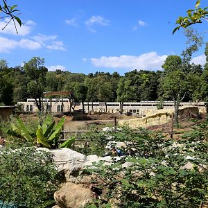 Overview of the Savanna Exhibit