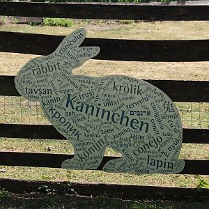 How to say rabbit in many languages sign, 2025-05-22
