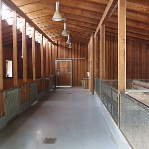 View in the petting zoo barn, 2025-05-22