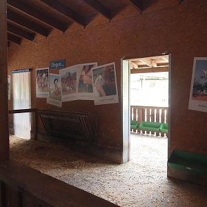 Petting zoo barn - Pygmy goat stable, 2025-05-22