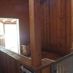 Petting zoo barn - Pony stable, 2025-05-22