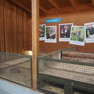 Petting zoo barn - Rabbit indoor pen and rotational structure between rabbit and guinea pig pens, 2025-05-22