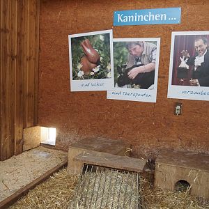 Petting zoo barn - Rabbit indoor pen, 2025-05-22
