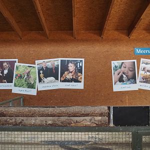 Petting zoo barn - Rotational structure between rabbit and guinea pig pens, 2025-05-22