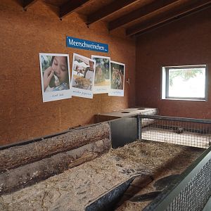 Petting zoo barn - Guinea pig pen and rotational structure between rabbit and guinea pig pens, 2025-05-22