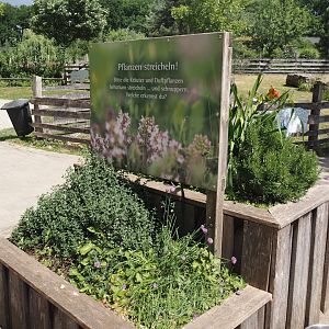 "Petting plants" - Planter with herbs and vegetables, 2025-05-22