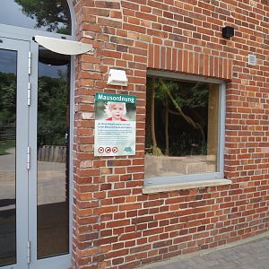 Viewing window into domestic fancy mouse exhibit in the "Mäusescheune" ("Mouse barn") indoor playground, 2025-05-22